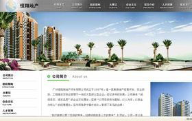 商丘網(wǎng)站建設(shè) 選擇專(zhuān)業(yè)網(wǎng)絡(luò)公司，打造卓越網(wǎng)站